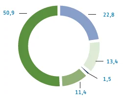 Kreisdiagramm: Stromerzeugungsmix in Deutschland – EEG-Erneuerbare 50,9 % (grün), Kohle 22,8 % (hellblau), sonstige erneuerbare Energien mit Herkunftsnachweisen 13,4 % (olivgrün), Erdgas 11,4 % (hellgrün), sonstige fossile Energie 1,5 % (dunkelblau).